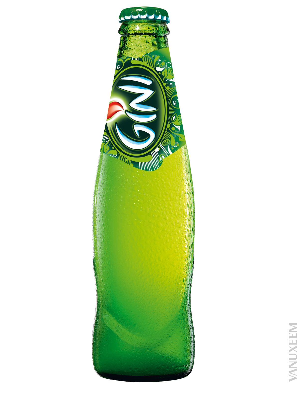 GINI_20cl.jpg