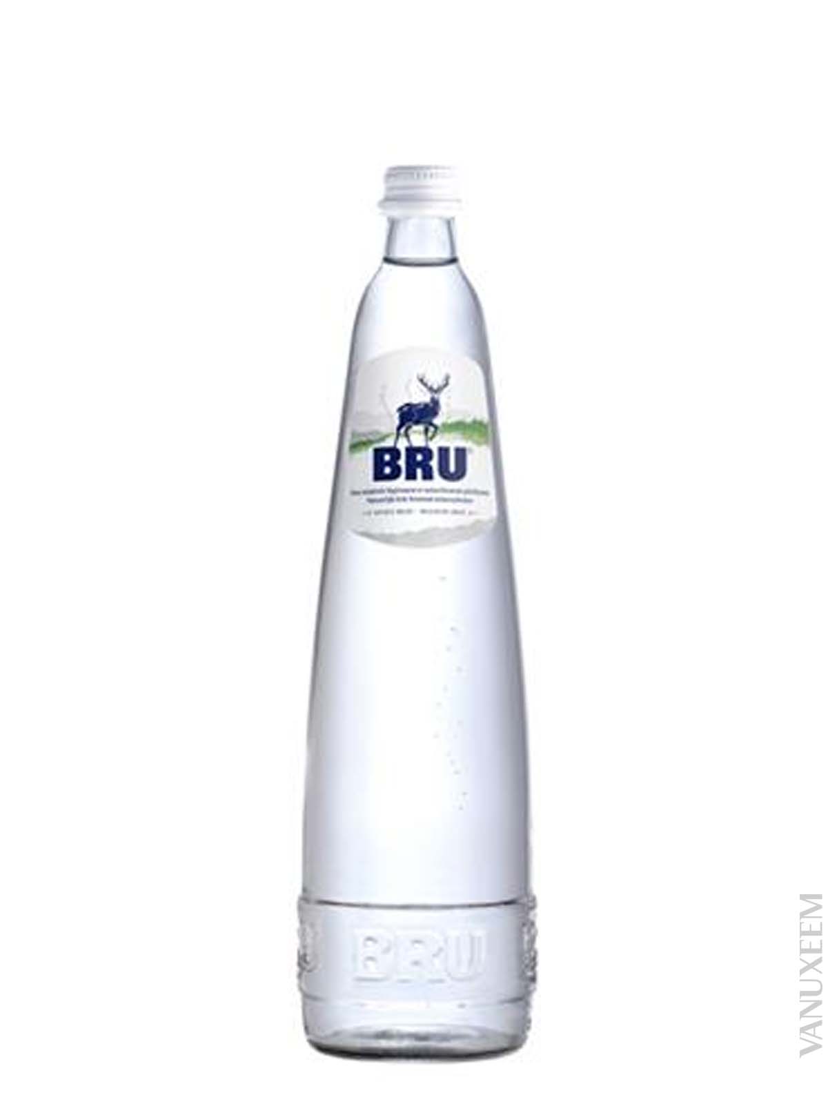 bru_petillante_50cl.jpg