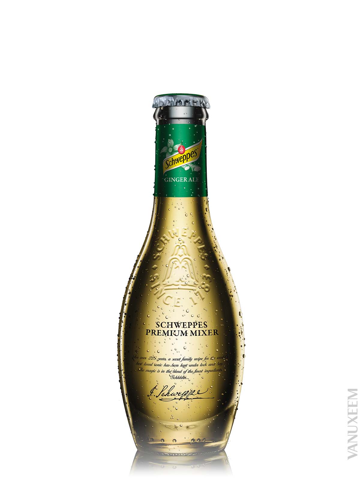 schweppes_ginger_ale_20cl.jpg